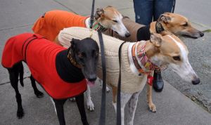 The boys at Seattle Center